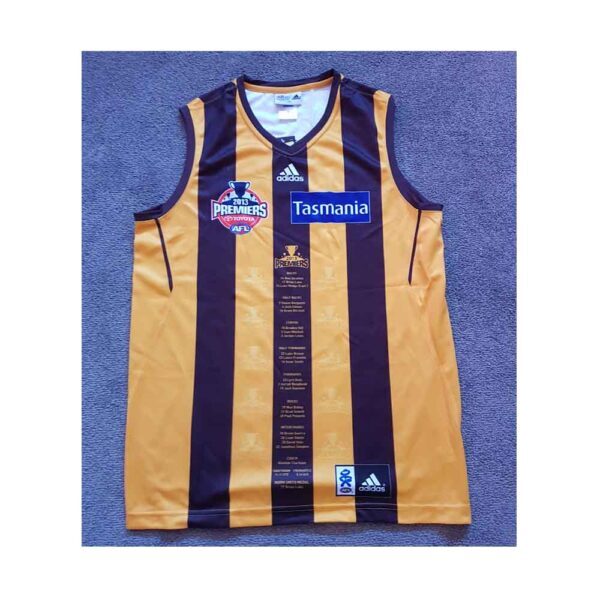 BRAND NEW 2013 HAWTHORN HAWKS PREMIERSHIP PREMIERS FOOTBALL AFL JUMPER