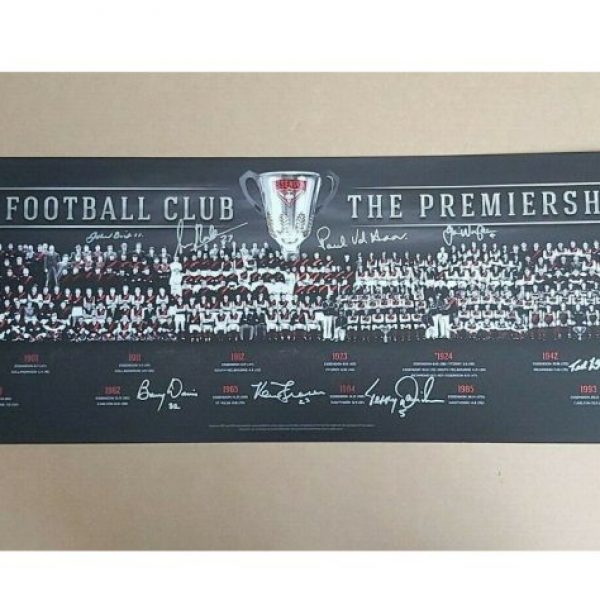 ESSENDON PREMIERSHIP MONTAGE PRINT HAND SIGNED WANGANEEN DANIHER MADDEN