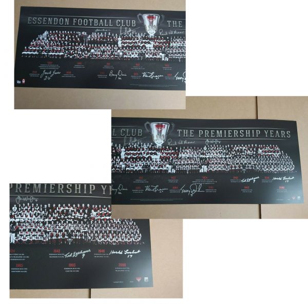 ESSENDON PREMIERSHIP MONTAGE PRINT HAND SIGNED WANGANEEN DANIHER MADDEN