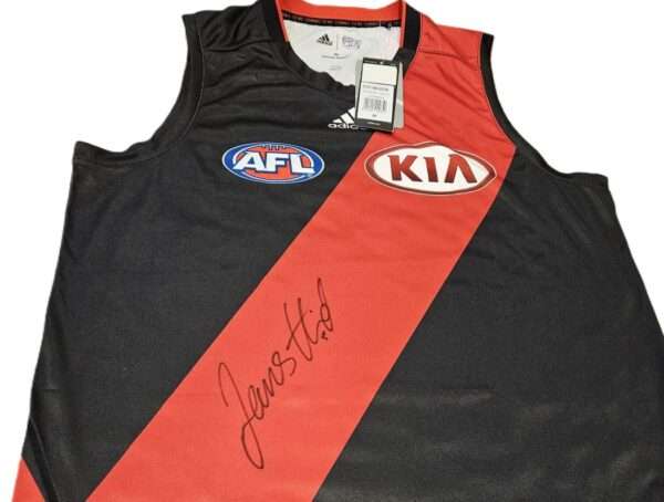 JAMES HIRD HAND SIGNED ESSENDON BOMBERS AFL FOOTBALL JUMPER RARE JUMPER - Image 2
